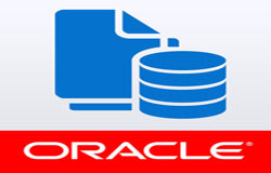 Oracle数据库管理工具有哪些?-北京问鼎线上平台,问鼎（中国）公司