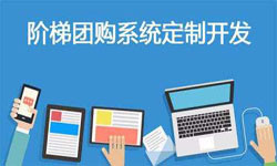 拼购电商系统APP软件定制开发、什么是拼购系统？-问鼎线上平台,问鼎（中国）
