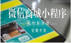 商城小程序开发、北京小程序开发哪家好？-问鼎线上平台,问鼎（中国）