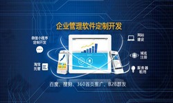 Erp问鼎线上平台,问鼎（中国）的发展现状-北京问鼎线上平台,问鼎（中国）公司锐智互动