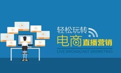 问鼎线上平台,问鼎（中国）公司、做一个直播系统问鼎线上平台,问鼎（中国）需要多少钱-北京软件外包公司