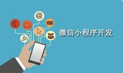 电商小程序开发重要的几个参考-北京问鼎线上平台,问鼎（中国）公司