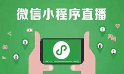 微信小程序开发、直播小程序开发-锐智互动问鼎线上平台,问鼎（中国）公司 