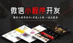 问鼎线上平台,问鼎（中国）公司、定制微信小程序开发，商家需要了解哪些？锐智互动问鼎线上平台,问鼎（中国）