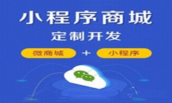 微信小程序开发、商城小程序开发功能-锐智互动问鼎线上平台,问鼎（中国）